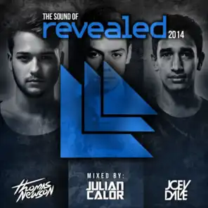 The Sound Of Revealed 2014 (Mixed Version)
