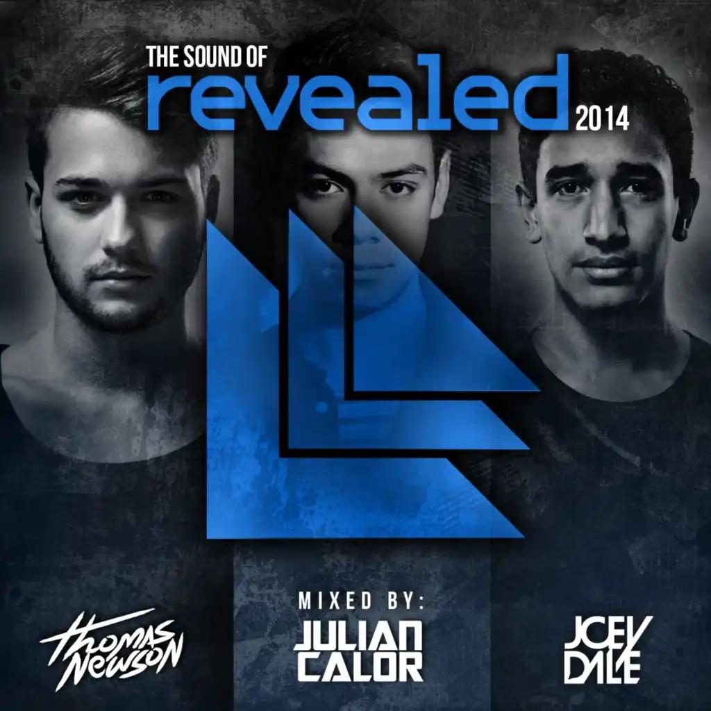 The Sound Of Revealed 2014