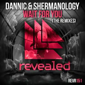 Wait For You (The Remixes)