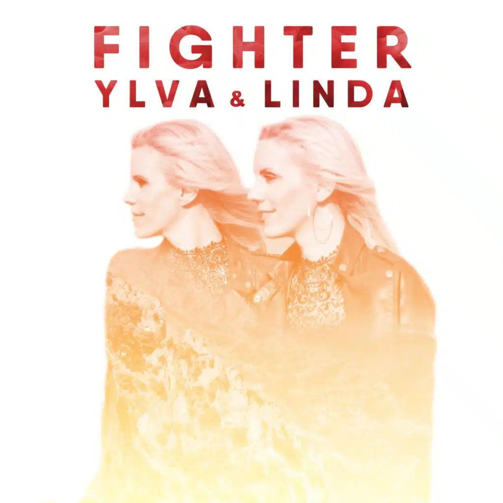 Fighter