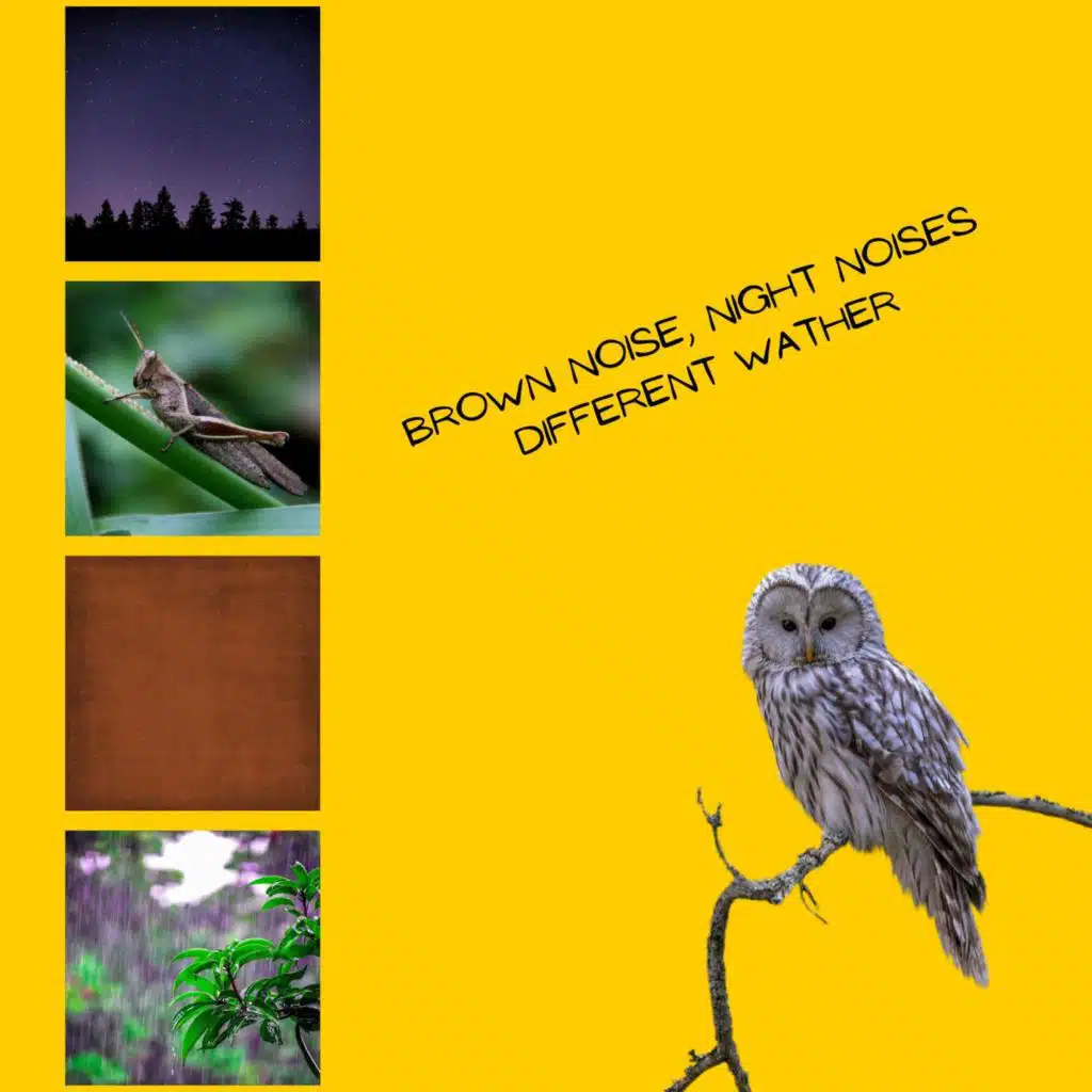 (Loopable) Cozy Crackling Campfire at Night, Brown Noise