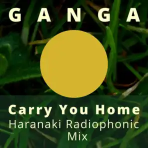 Carry You Home (Haranaki Radio Phonic Mix)