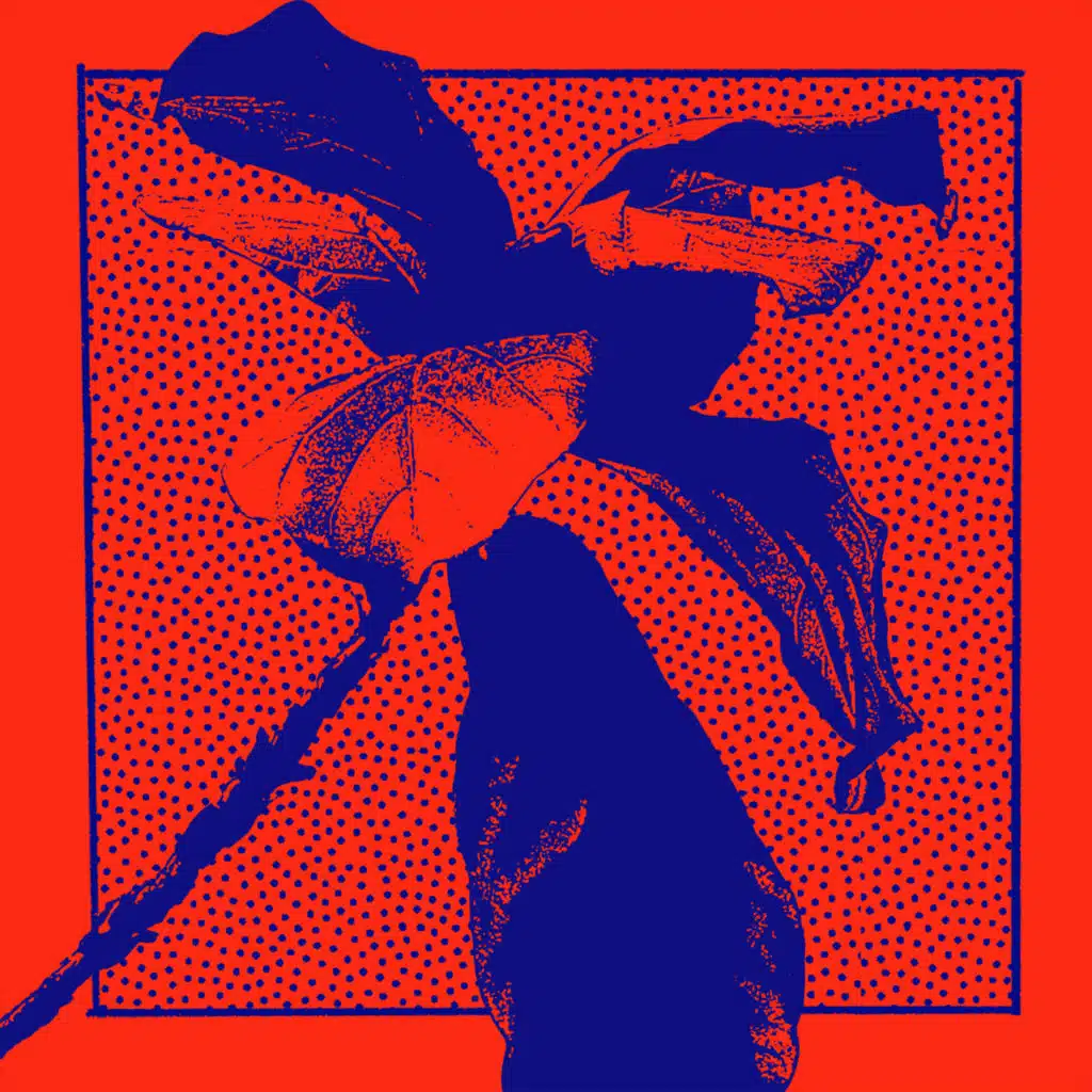 Benjamin Fröhlich & Rhode & Brown