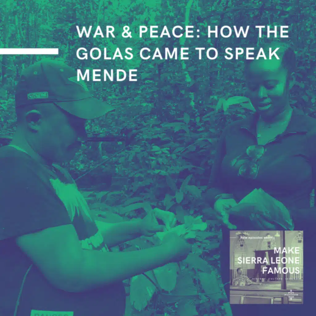 War & Peace: How the Golas Came to Speak Mende