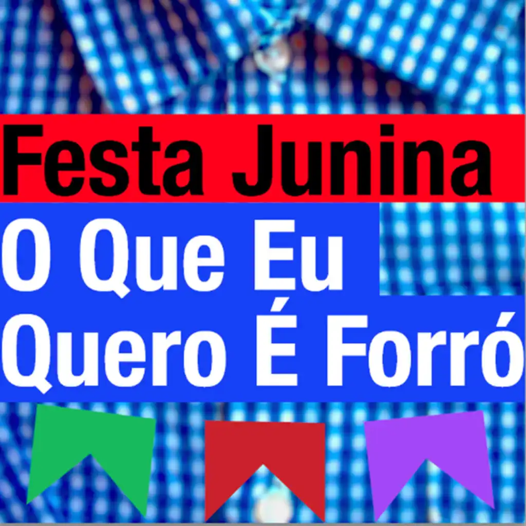 Festa Junina - o Que Eu Quero É Forró!