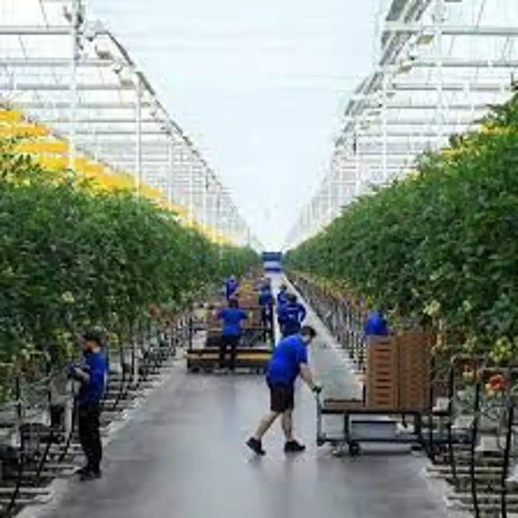 The Magic of Hydroponic Farms with Sheikha Sulaiman Al Maazmi (30.06.22)