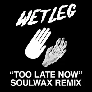 Too Late Now (Soulwax Remix)