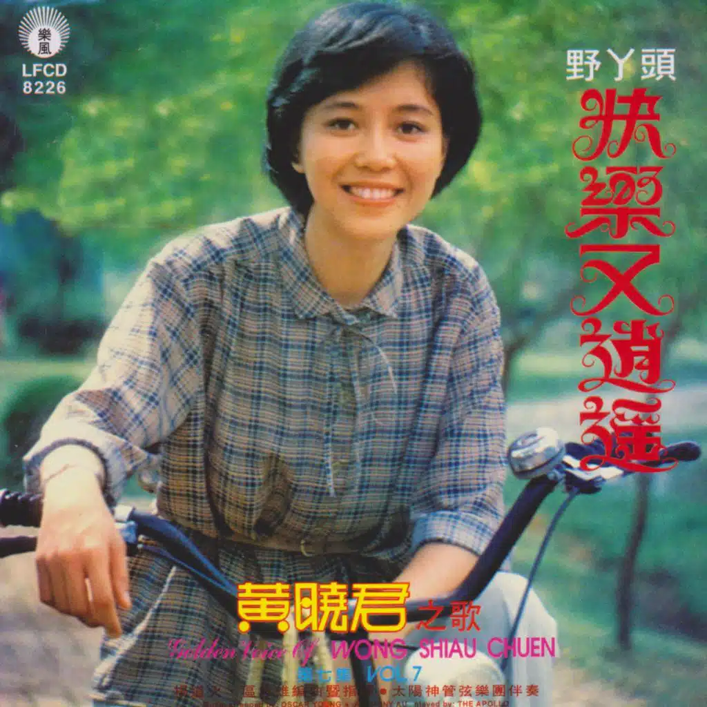 黄晓君之歌第七集野丫頭