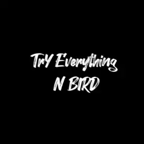 Try EveryThing (prod. NBIRD) [EDM Version]