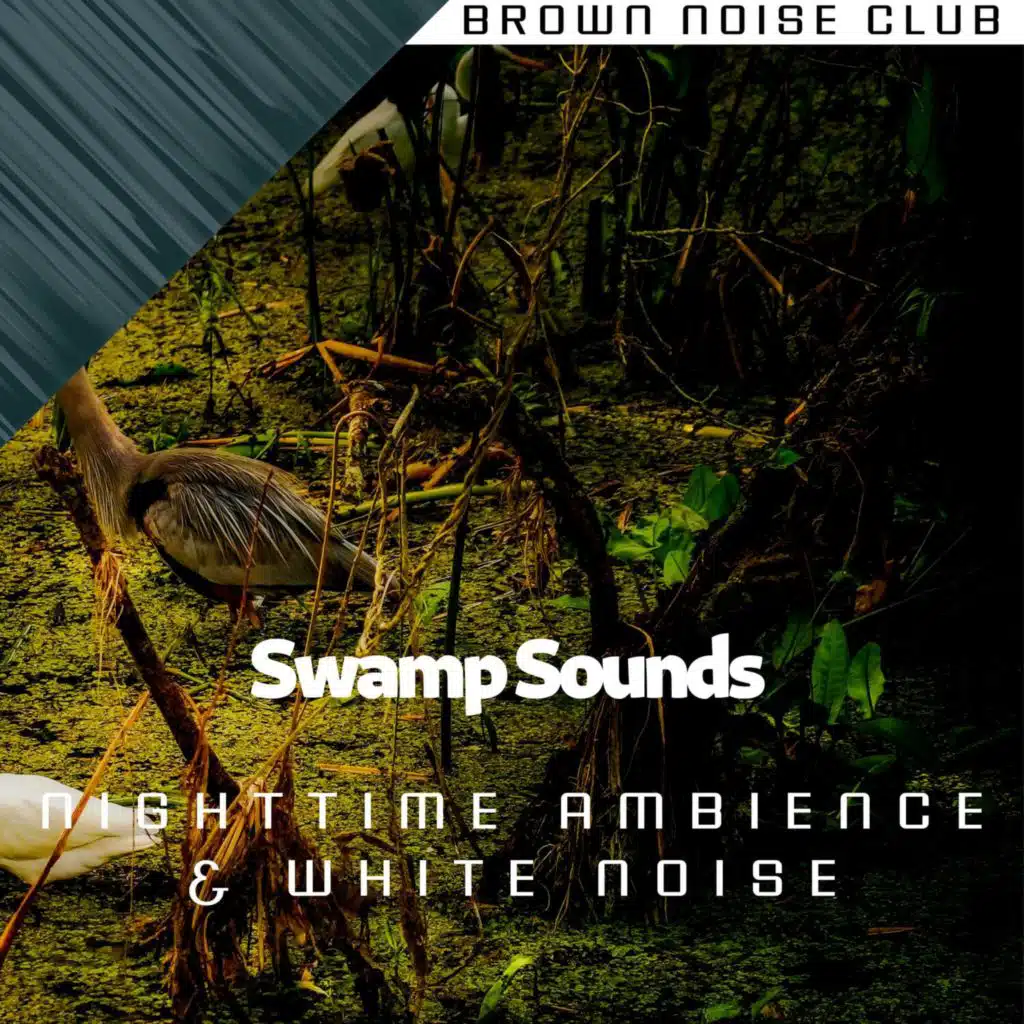Swamp Sounds - Nighttime Ambience & White Noise, Loopable