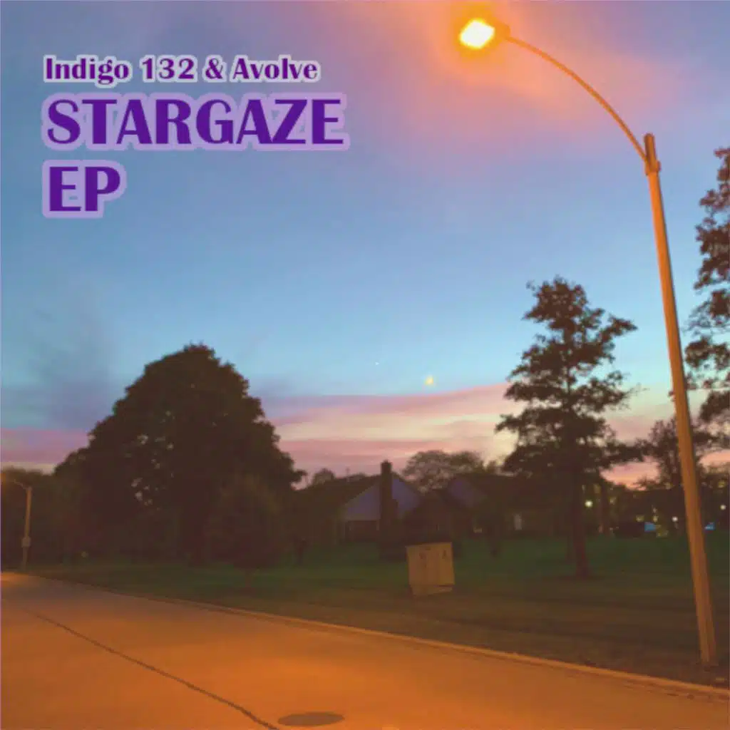 Indigo 132 & Avolve