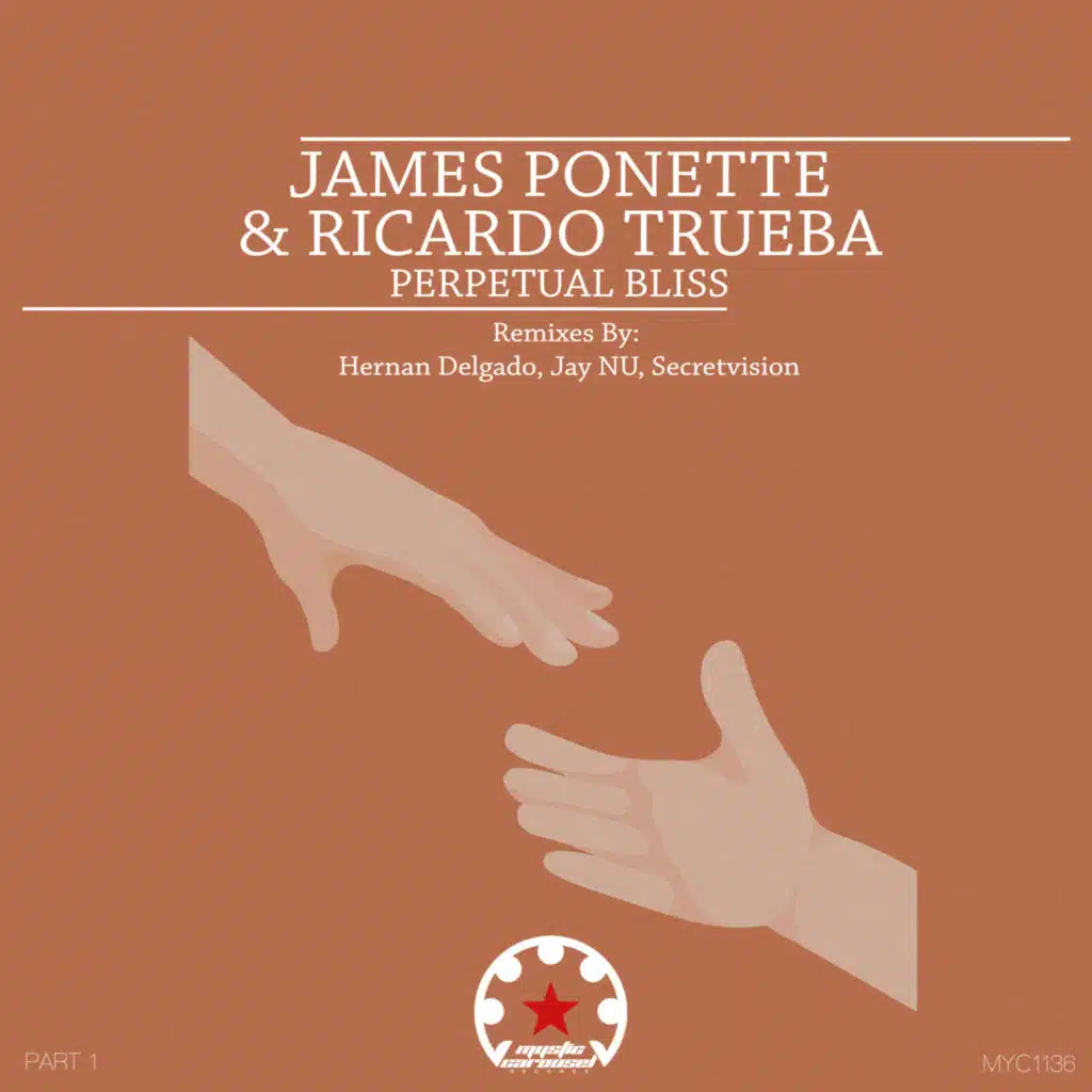 Perpetual Bliss, Pt. 1 (feat. Secretvision)