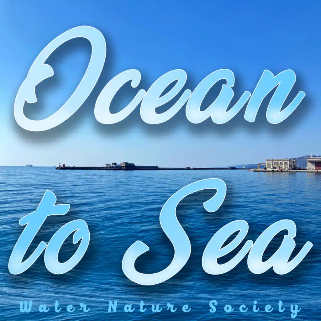 Ocean to Sea