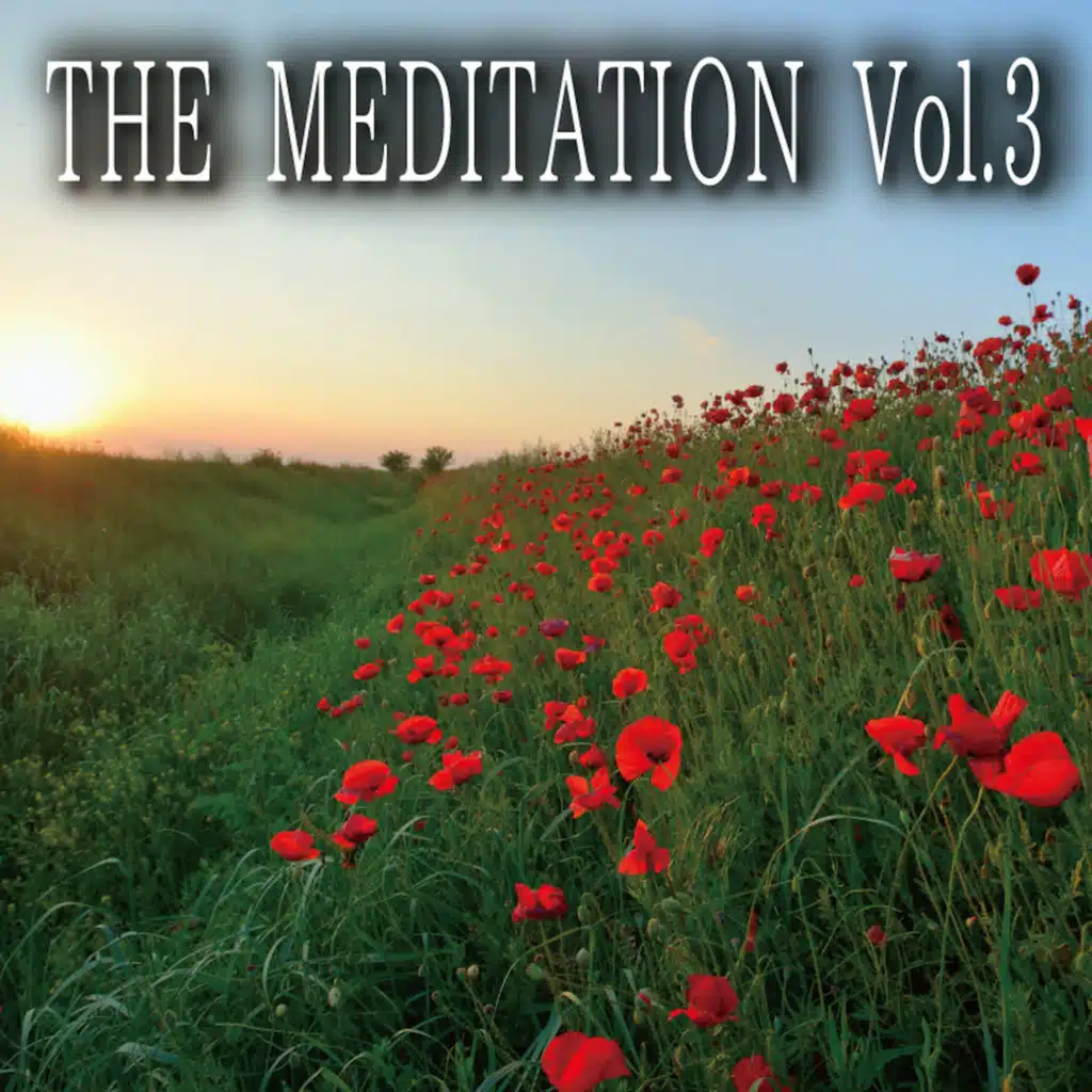 THE MEDITATION, Vol. 3