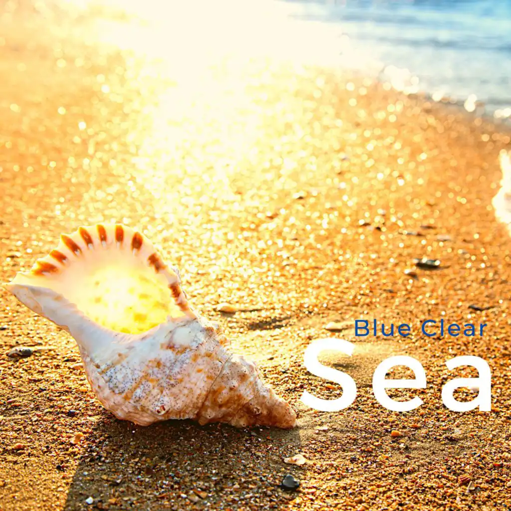 Blue Clear Sea
