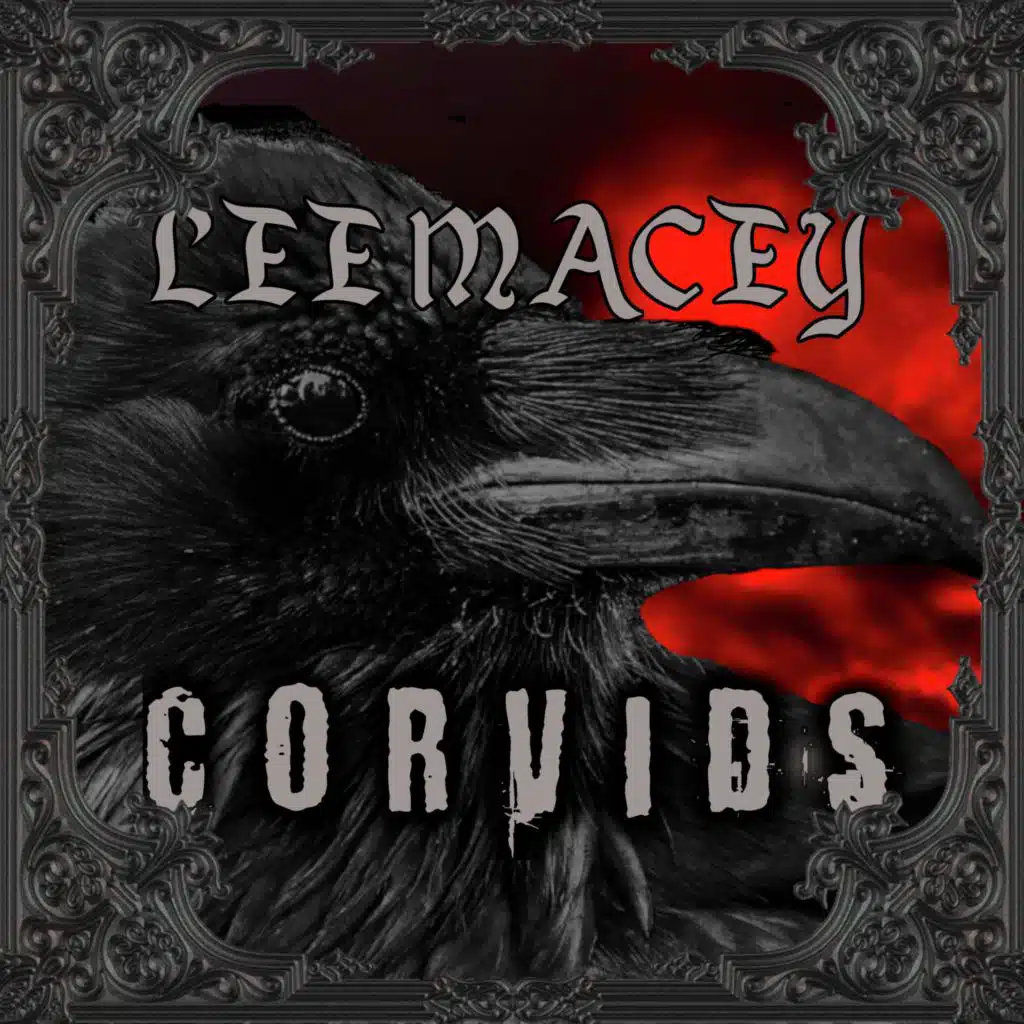 Corvids