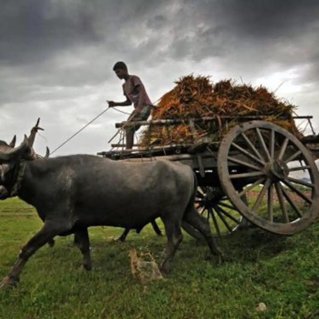 भारतीय लोकप्रिय भाषा,  इसके अनुसार नंबर की वक्ताओं. (No.१३  को No.२९) - "खुशखबरी", "जीवन के शब्द", "इँजील गीत"  // INDIAN POPULAR LANGUAGES ACCORDING TO NUMBER OF SPEAKERS (FROM No.13 TO No.29)- "GOOD NEWS", "WORDS OF LIFE" ."GOSPEL SONGS"／भारतीय प्रचलित