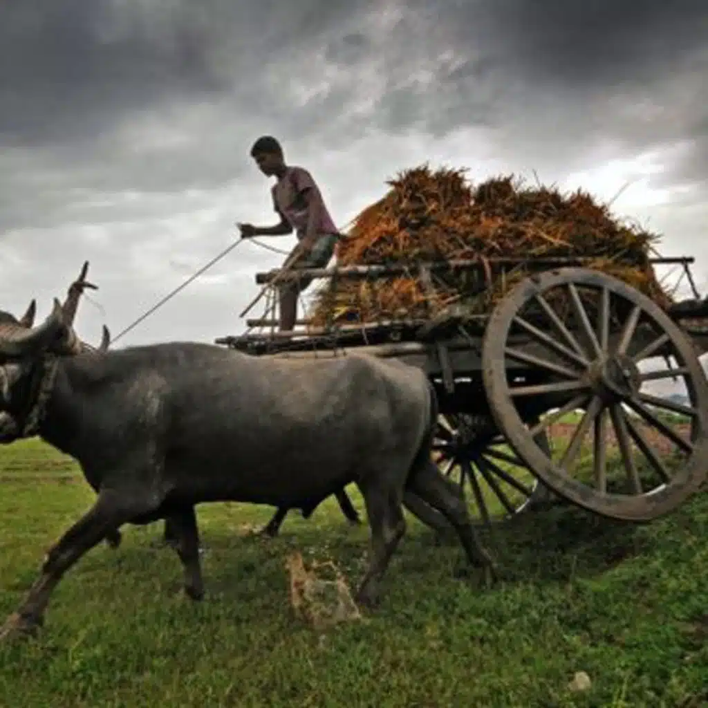 [29]. Ho Gospel Songs.mp3