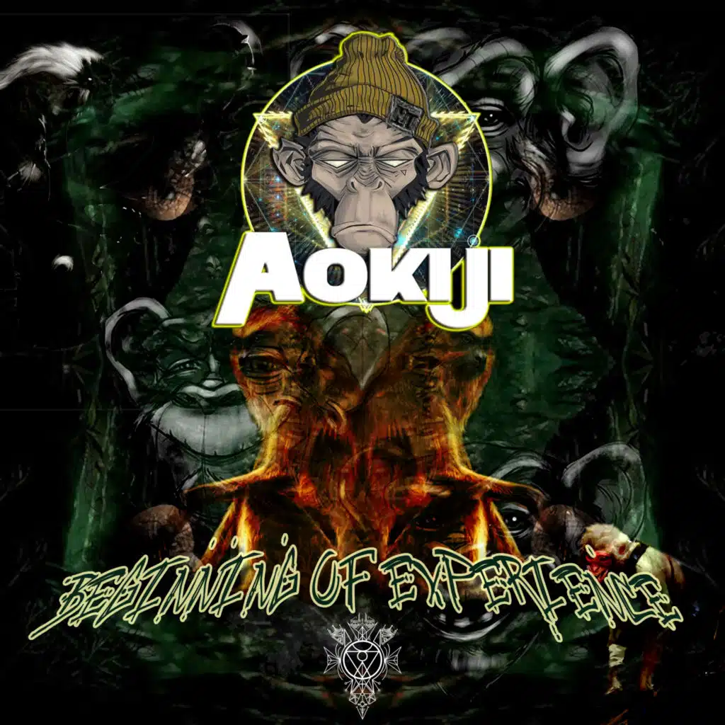 Aokiji Project