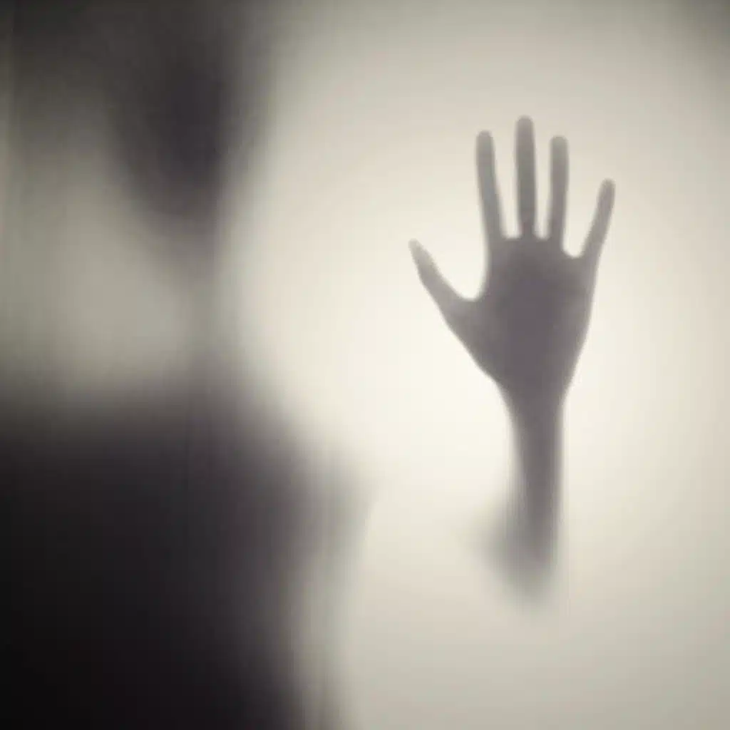 037 - Fear