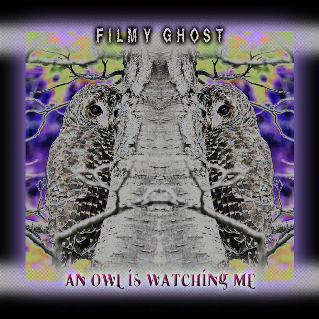 An Owl is Watching me