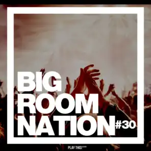 Big Room Nation, Vol. 30