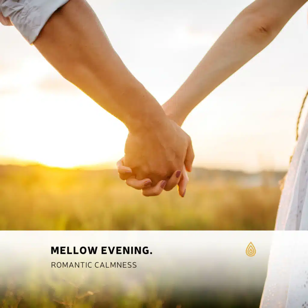 Côte et Vagues de l'Océan Nord