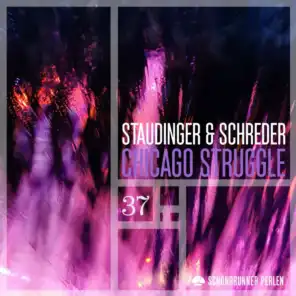 Staudinger & Schreder
