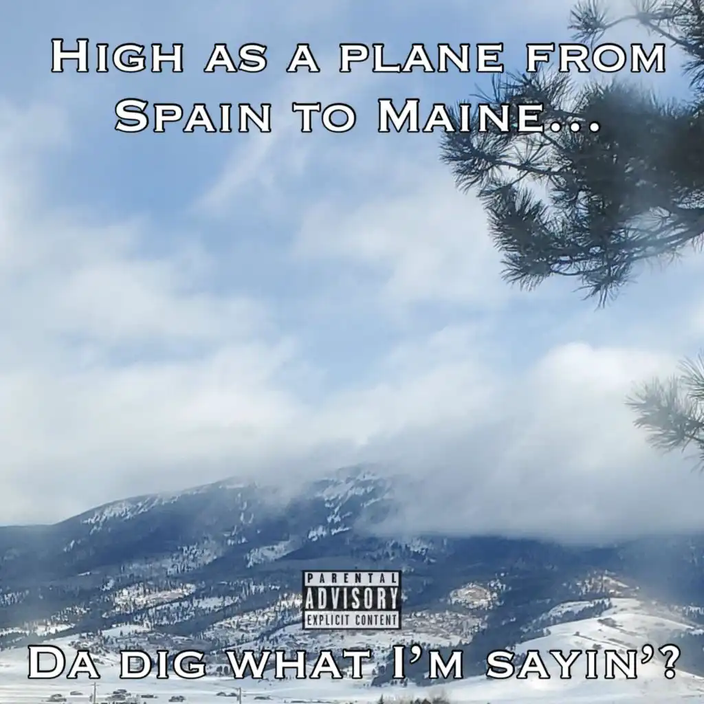 High as a Plane From Spain to Maine, Ya Dig What I'm Sayin'?