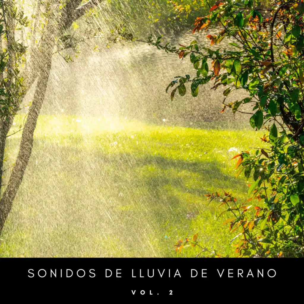 Sonidos De La Lluvia Confortante