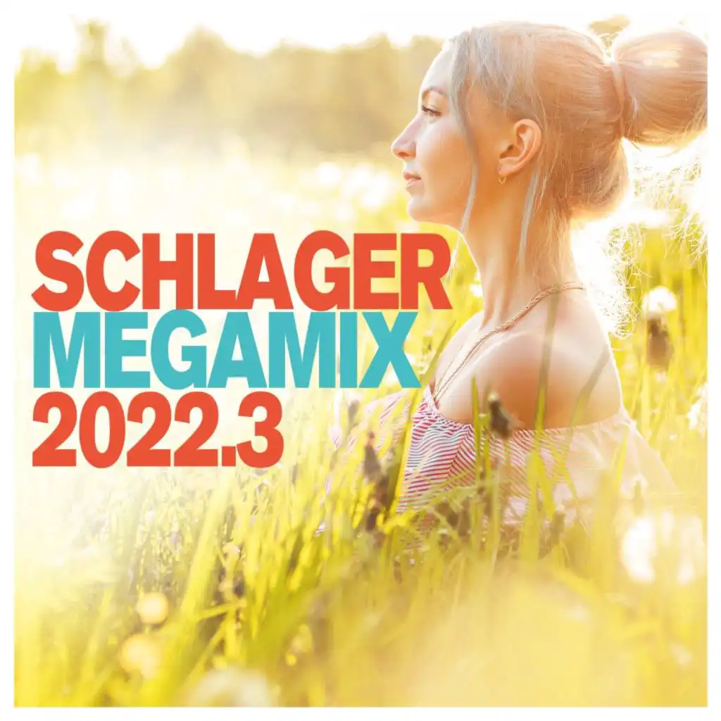 Schlager Megamix 2022.3