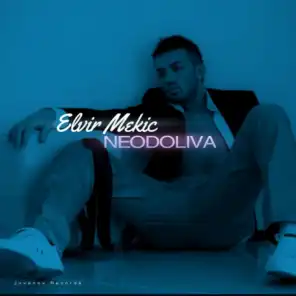 Elvir Mekic