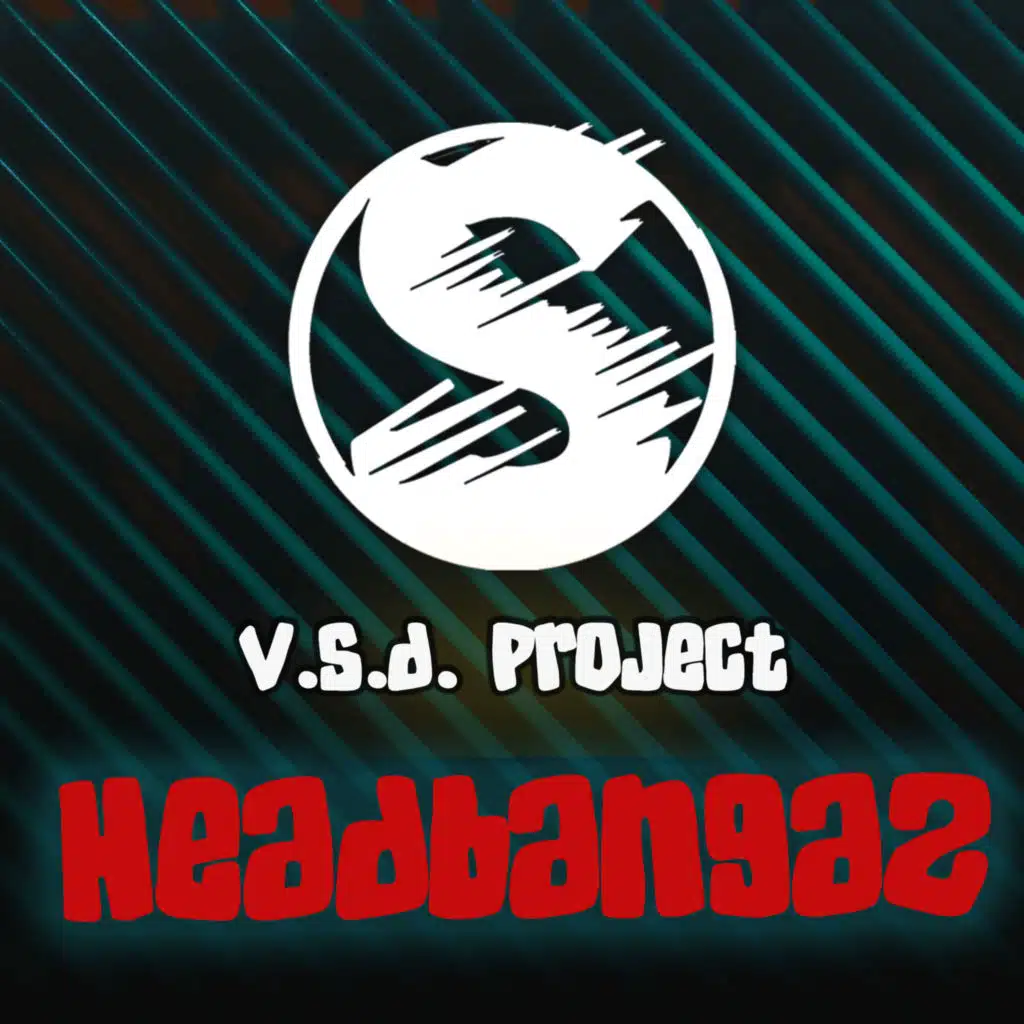 V.S.D. Project