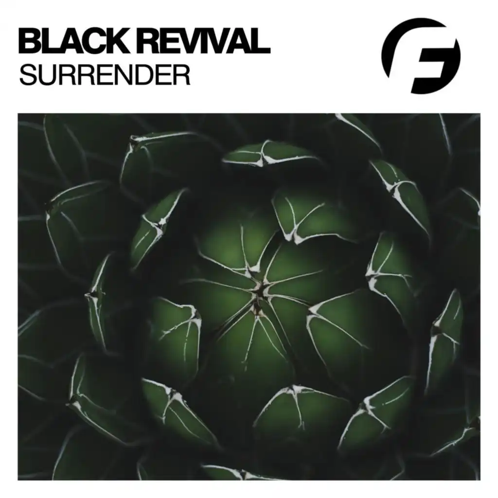 Surrender (Dub Mix)