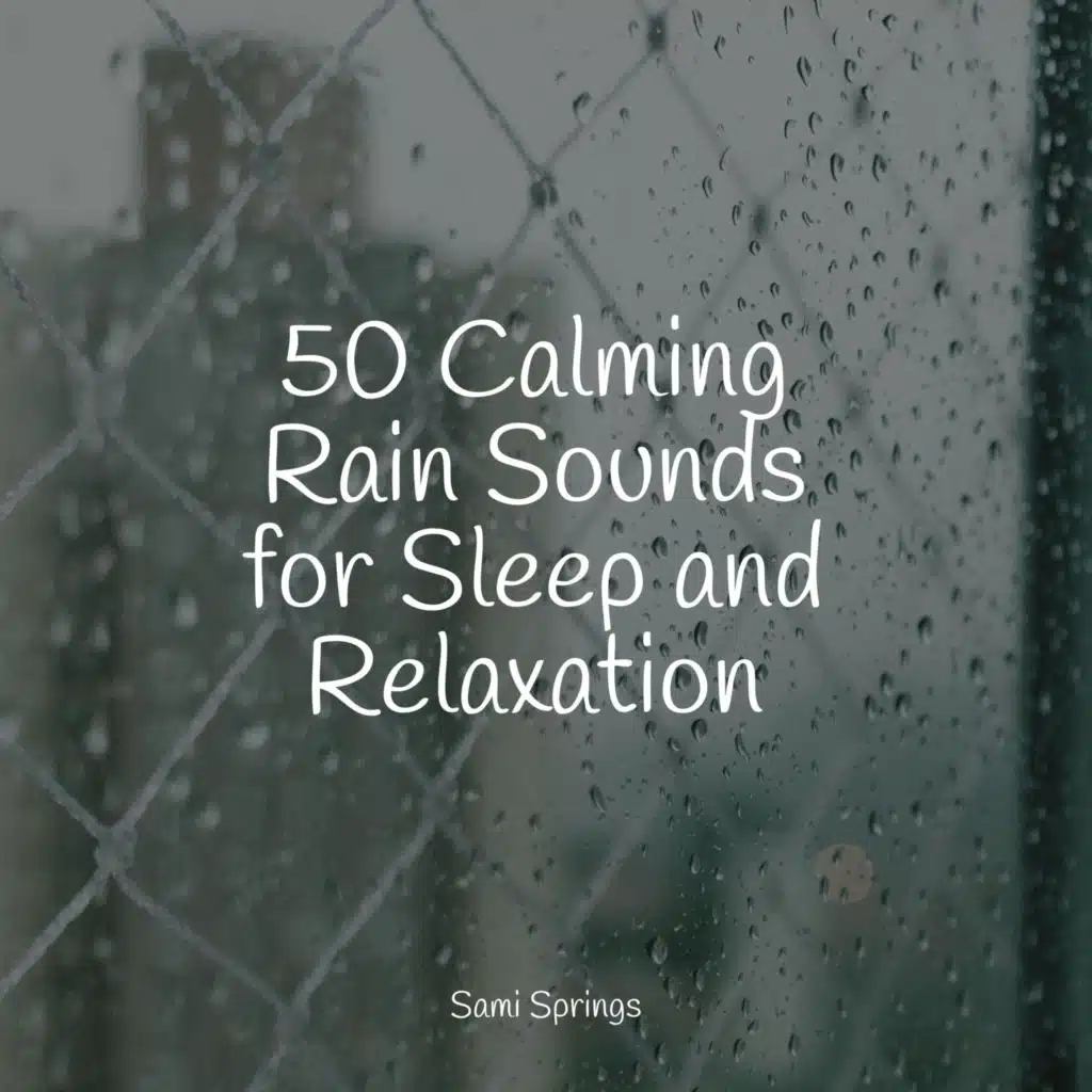 Seagulls on the Beach (Relaxing Ocean Waves)