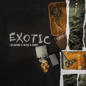 Exotic (feat. Gummy & NEXUS)