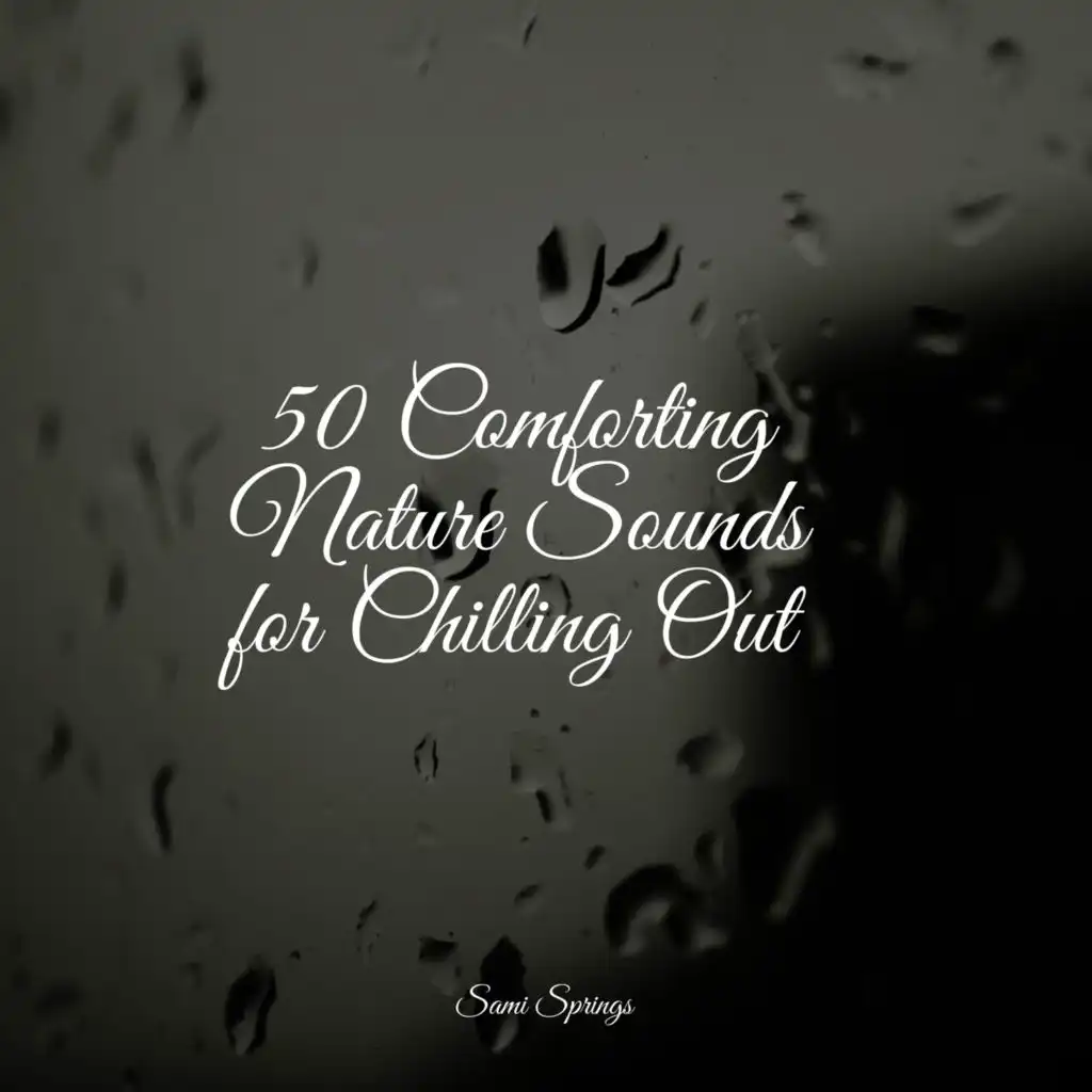 50 Loopable Rain Sounds for Sleep and Relaxation