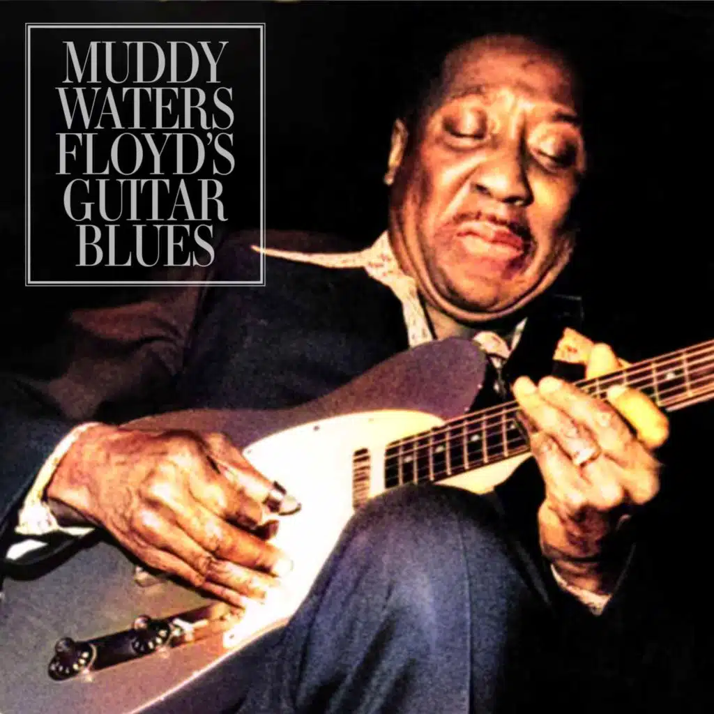 They Call Me Muddy Waters (Live)