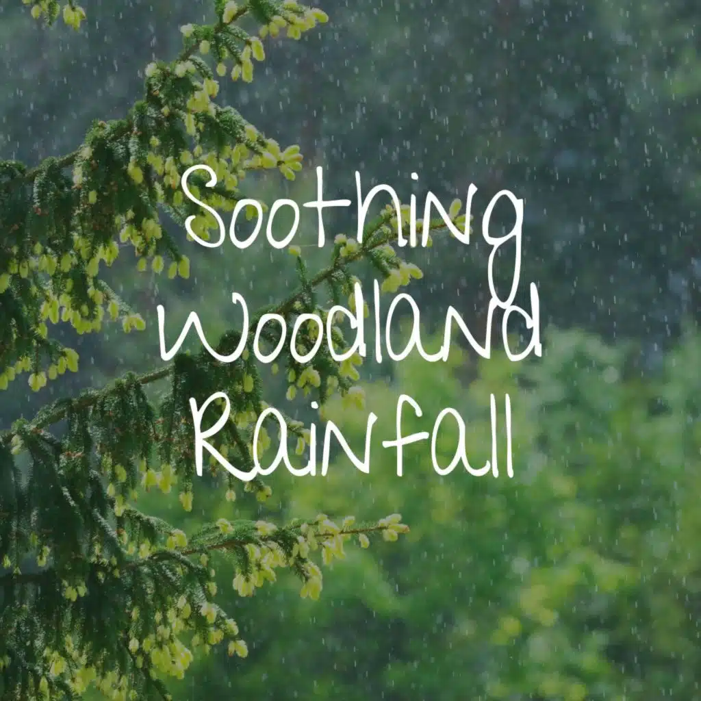 Soothing Woodland Rainfall