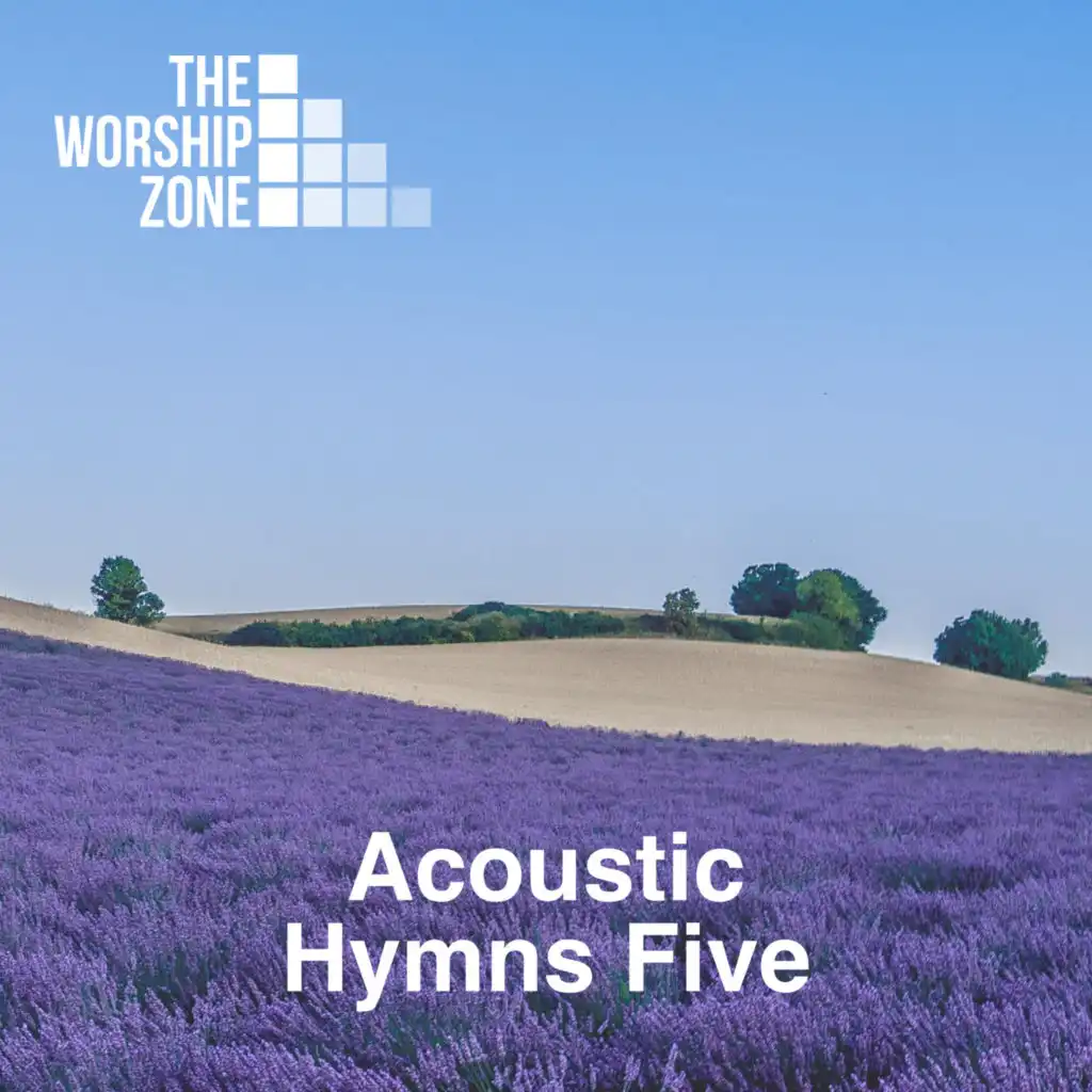 Acoustic Hymns 5