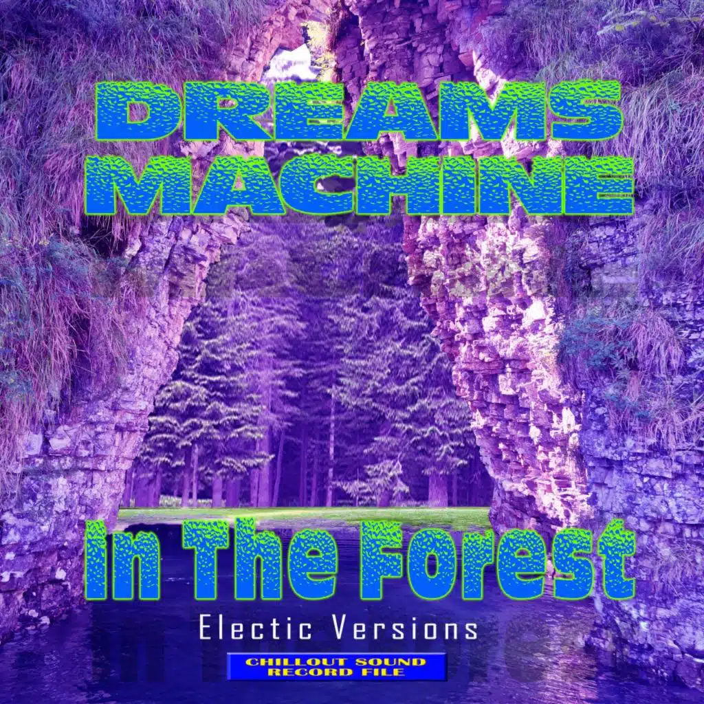 Primitive Ambient (Electricversions)
