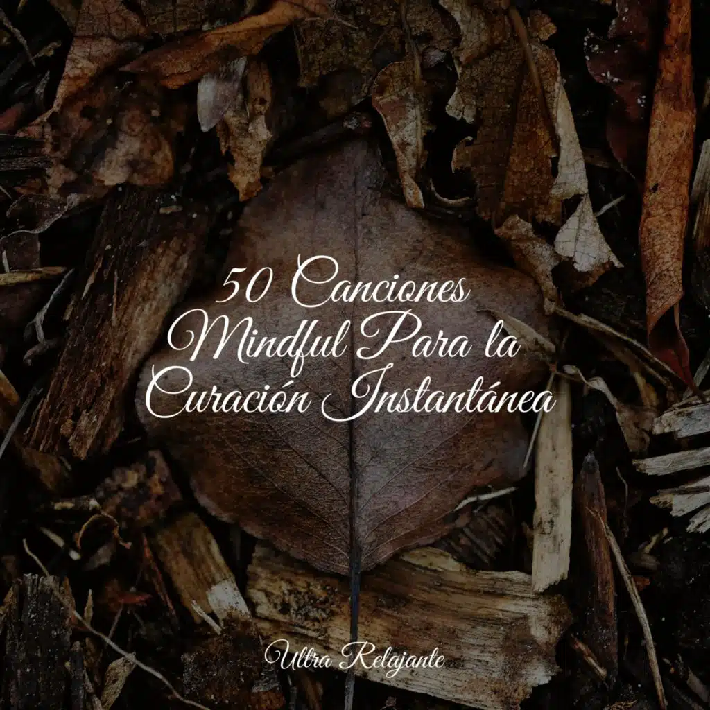 Bosque Durmiente