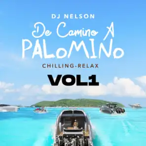 De Camino A Palomino, Vol. 1