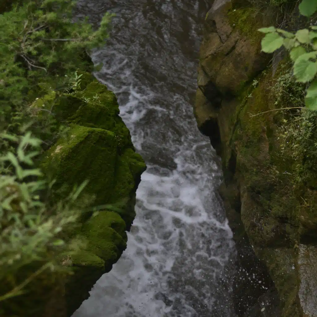 Relax Lounge Cafe & Lo Fi My Lounge