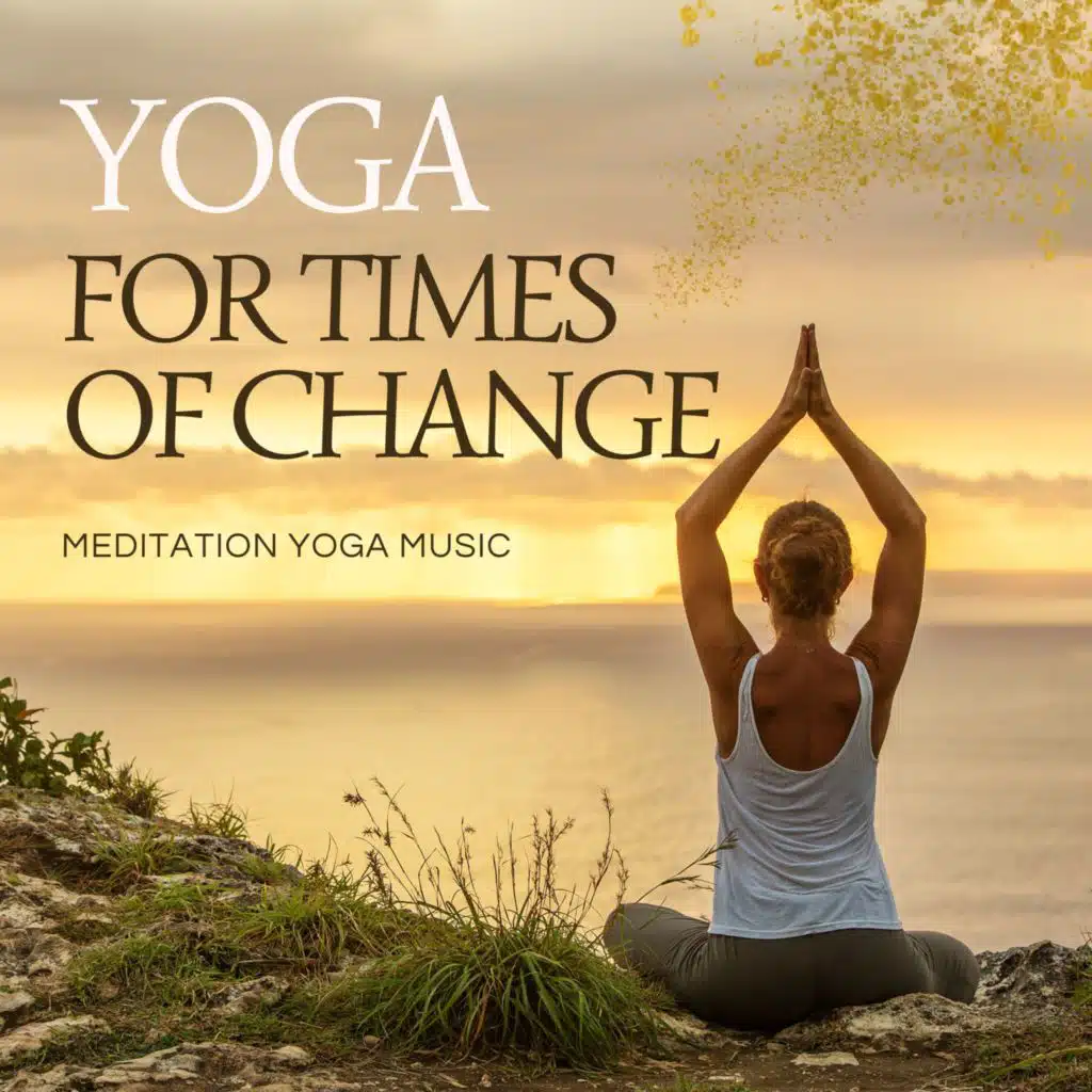 Meditate Mindfully