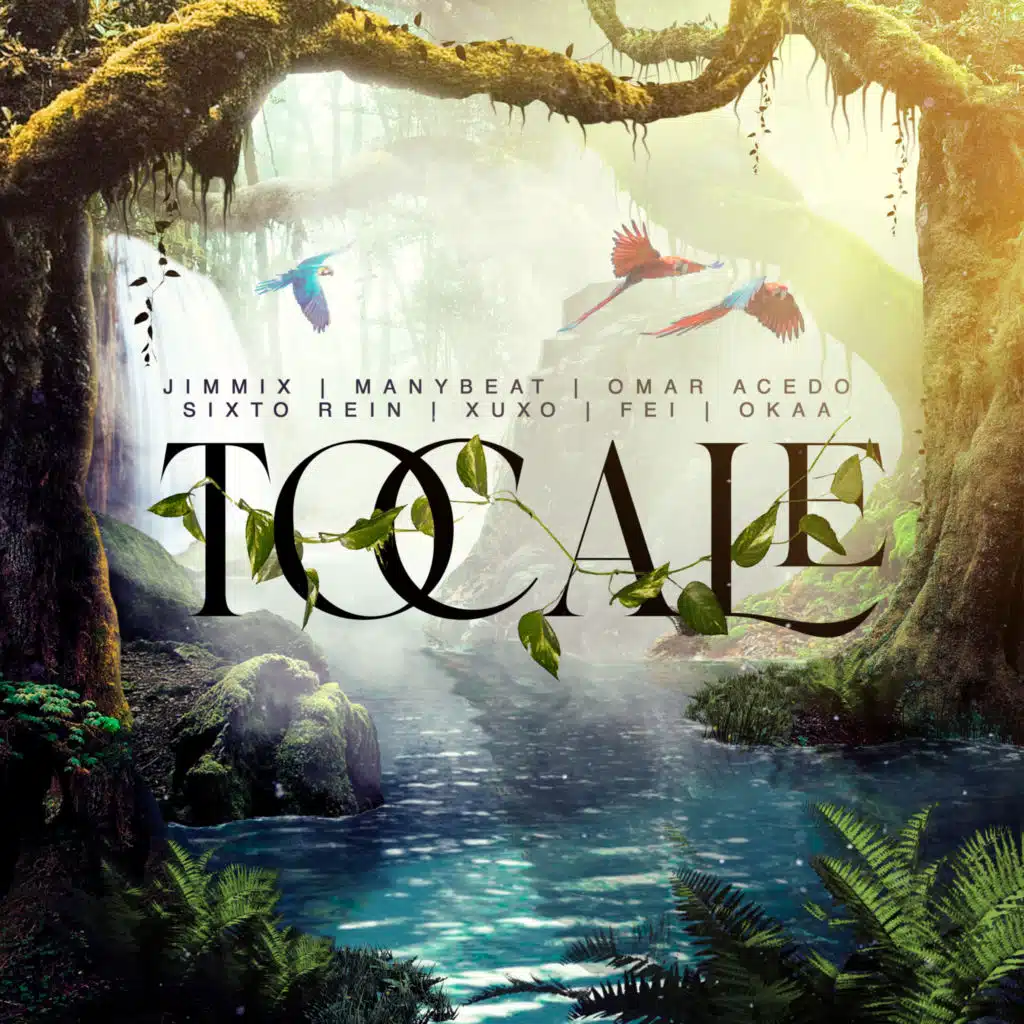 Tócale (feat. Manybeat, Jimmix, Okaa & Fei)