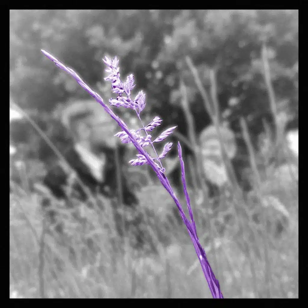 Things Could Be Worse