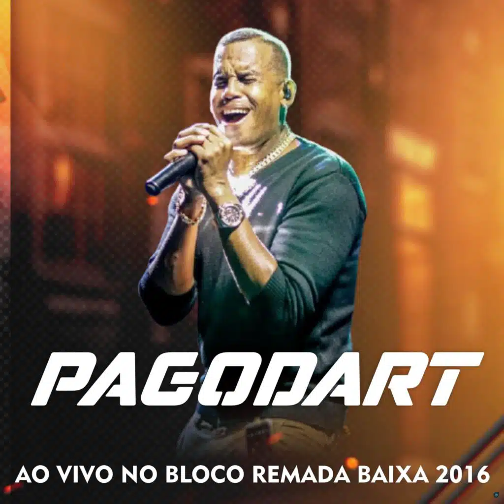 Ao Vivo no Bloco Remada Baixa 2016
