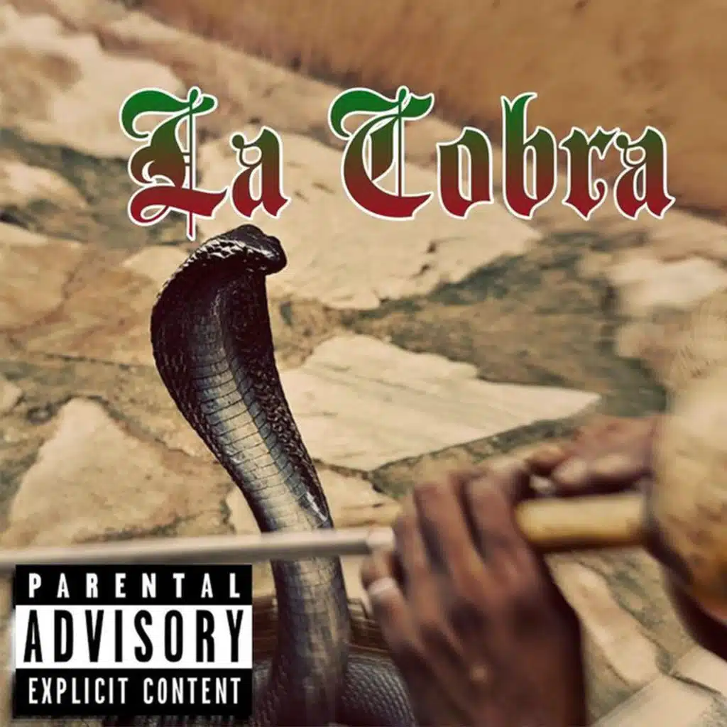 La Cobra (feat. DRODi)