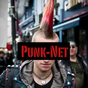 Punk-Net